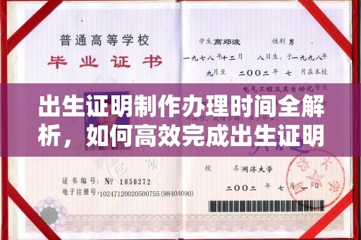 湖内出生证明制作办理时间全解析，如何高效完成出生证明申请？